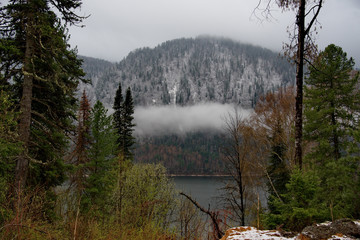 Russia. Mountain Altai. Frosty spring morning on the shore of lake Teletskoye