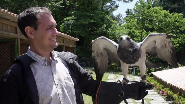 Male Tourist Posing for Photo with Black-Chested Buzzard-Eagle (Geranoaetus melanoleucus)