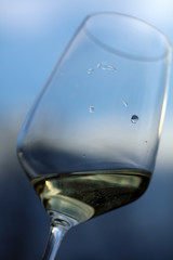 Glas mit Weißwein