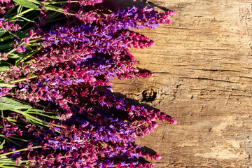 Purple salvia flowers on rustic wooden background. Top view, copy space