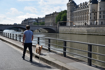 Obraz premium Promener son chien à Paris
