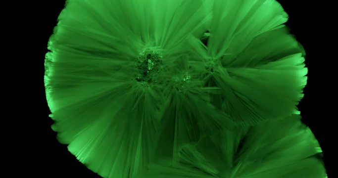 Crystals growth. The process of crystallization in supersaturated solution. Separated on pure black background, contains alpha channel.