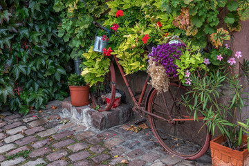 Fototapeta na wymiar old bicycle with flowers