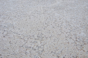 natural salt crust, rough gray surface with coral pattern, Sahara desert, Tunisia