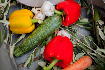 Vegetables prepared for cooking, pepper, garlik and summer squash.