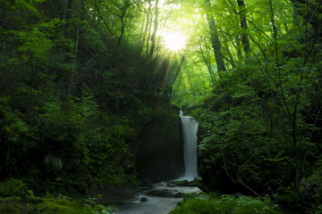 光芒が差し込む滝