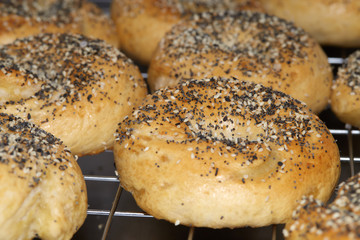 bagel toasted with seeds