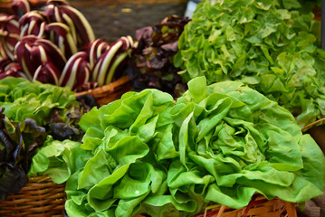 Large leaves lie in the basket