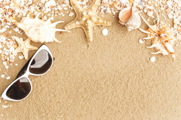 Fototapeta na wymiar colorful shells in the sand of a beach