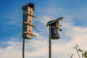 Old bird houses