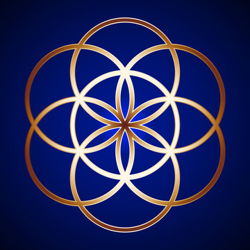 Golden Sacred Geometry Seed of Life on background