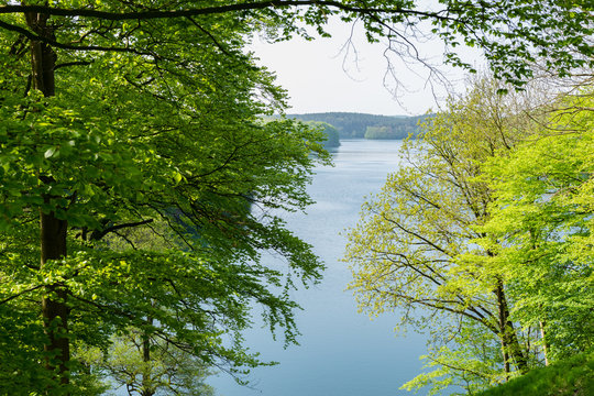 Fr&uuml;hling am See Schmaler Luzin in Feldberg - Mecklenburgische Seenplatte