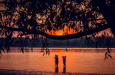 Fototapeta premium sunset over the river
