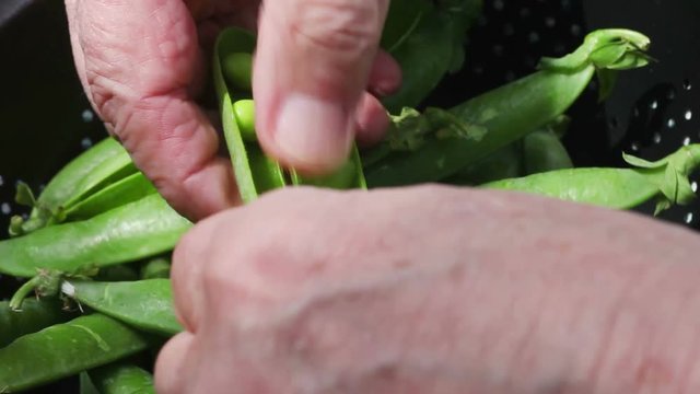 Closeup view of a senior man preparing fresh peas