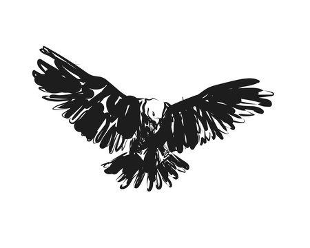Vector sketch eagle
