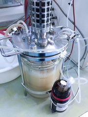 Ethanol fermentation using yeast in laboratory fermentor or fermenter