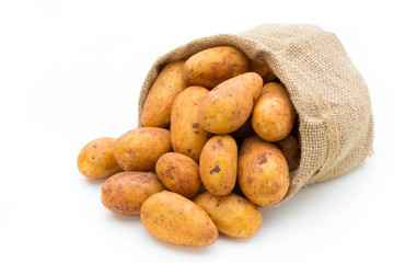 A bio russet potato isolated white background.