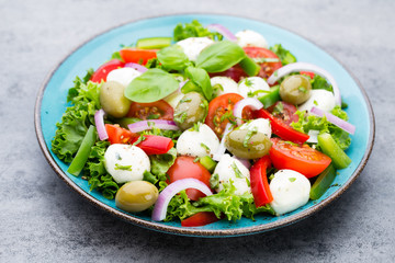 Vegetable salad with cheese mozzarella, tomatoes, basilikum and spice.