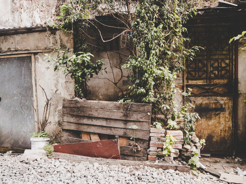 beauty in ruins