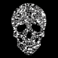 Brilliant transparent silvery icon skull. Silhouette of  jewelry skull.