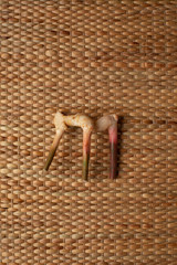 Galangal roots isolated on brown wallpaper showing texture of weave dried water hyacinth placemat.