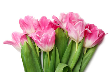 Beautiful fresh tulips on white background, closeup