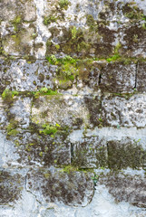 Fototapeta premium Vertical photo of an old dilapidated stone wall with sprouted green moss and limestone