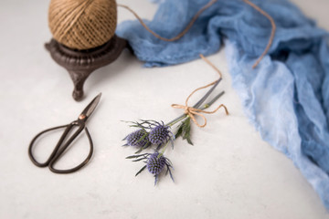 Blue Thistle Still Life