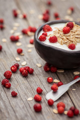 Yogurt. Stone bowl with fresh yogurt and berries on rustic table