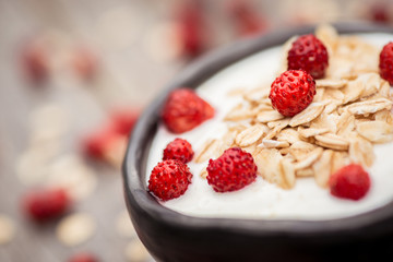 Yogurt. Stone bowl with fresh yogurt and berries on rustic table
