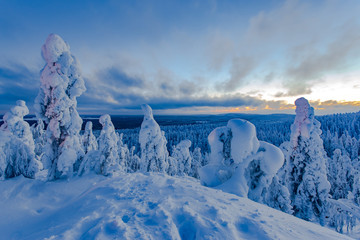 Winter landscape from Sotkamo, Finland.