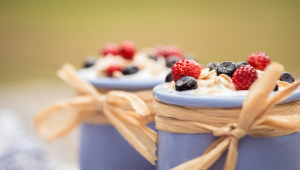 Yogurt. Stone bowl with fresh yogurt and berries on rustic table