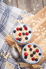 Yogurt. Stone bowl with fresh yogurt and berries on rustic table