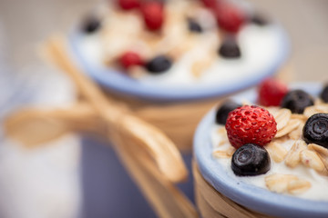 Yogurt. Stone bowl with fresh yogurt and berries on rustic table