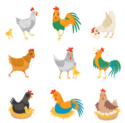 Flat vector set with chickens, little chicks and roosters. Farm birds. Domestic fowl. Elements for advertising poster or banner