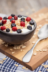 Yogurt. Stone bowl with fresh yogurt and berries on rustic table