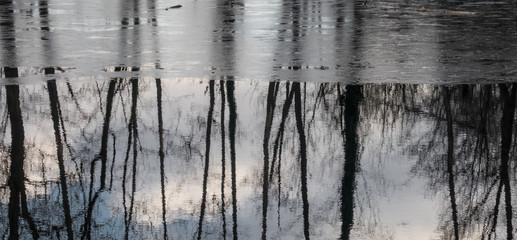ICE with Reflection
