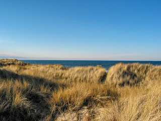 Romantisches Refugium in der Dünenlandschaft der dänischen Insel Læsø. Prächtige Aussicht auf das glatte Wasser des Kattegatt