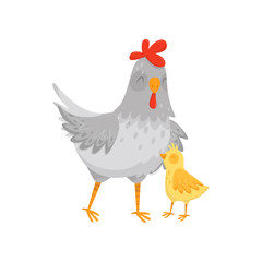 Flat vector icon of gray mother hen with her little yellow chick. Domestic bird. Element for poster or postcard