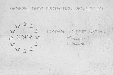 GDPR icon next to consent to usage data question