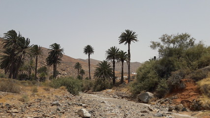 Mittendrin auf der Insel