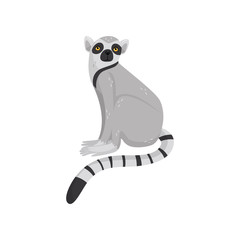 Fototapeta premium Flat vector icon of sitting lemur. Primate with gray fur, striped long tail and orange eyes. Cartoon character of wild African animal