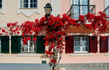 House built in traditional Portuguese architecture and covered by a red bougainvillea in Algarve,Portugal