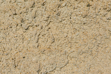 Asbestos slate texture concrete covered with lichen and moss