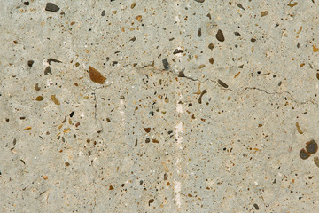 Asbestos slate texture concrete covered with lichen and moss