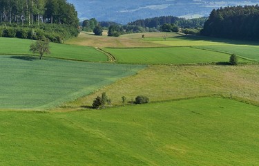 Obraz premium Landschaft im Frühsommer. Aufgenommen vom Gehrenbergturm in Richtung Deggenhausertal. Baden-Württemberg, Deutschland.