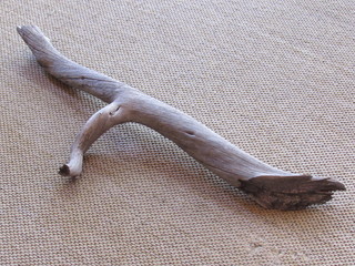 Old piece of driftwood