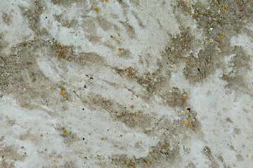 Asbestos slate texture concrete covered with lichen and moss
