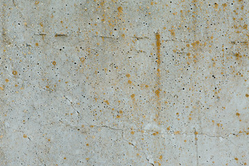 Asbestos slate texture concrete covered with lichen and moss