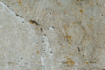 Asbestos slate texture concrete covered with lichen and moss